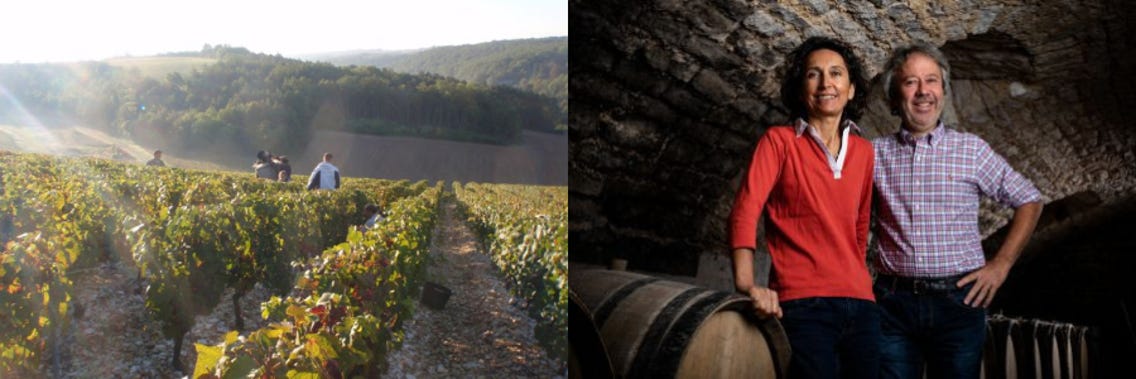 Weingüter / Domaine des Marronniers