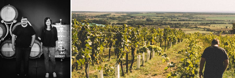 Weingüter / Weingut Straka