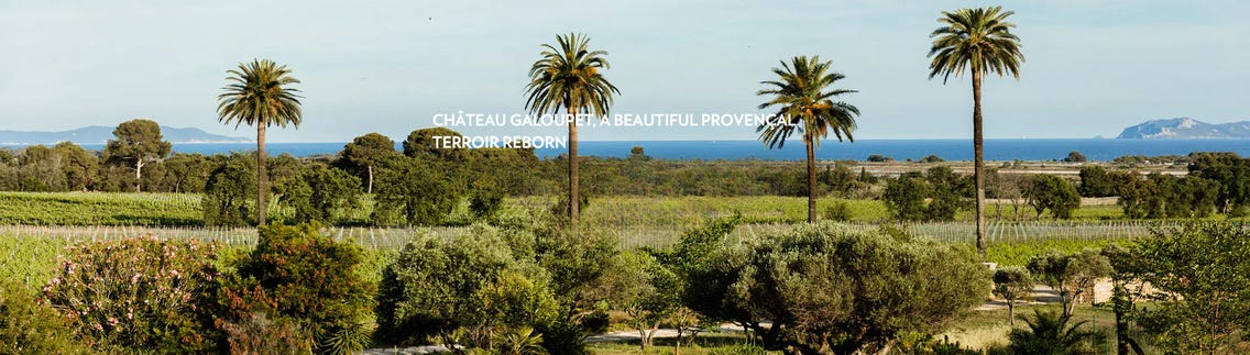 Weingüter / Château Galoupet