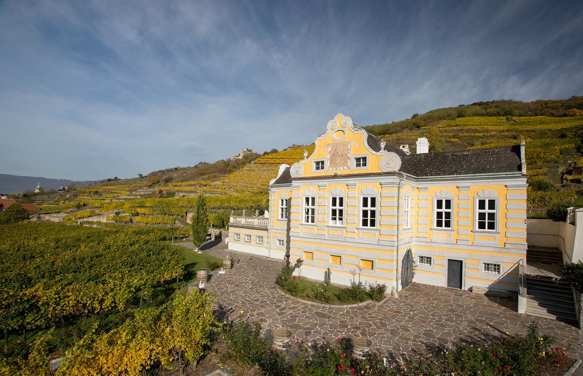 Wachau Wines with Soul – Discover Domäne Wachau