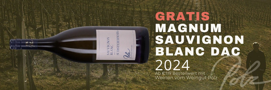 Weingüter / Weingut Polz