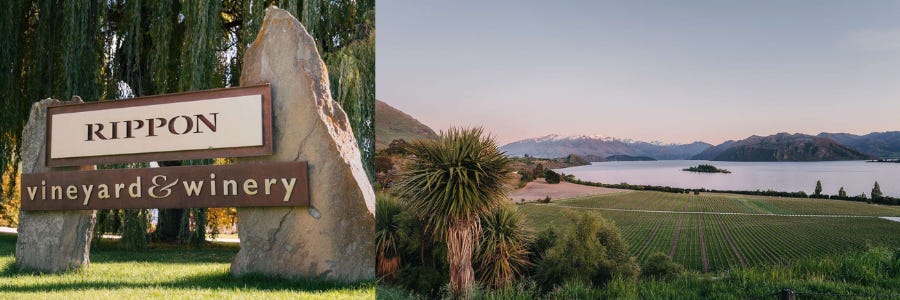 Weingüter / Rippon