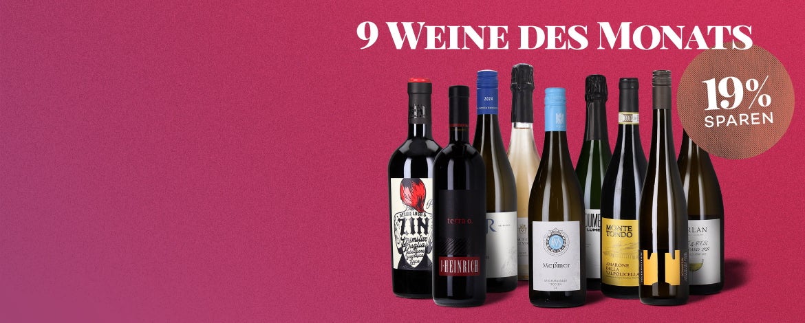 9 genussvolle Weine für November