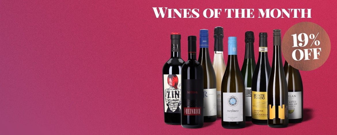 9 Wines to Savour in November
