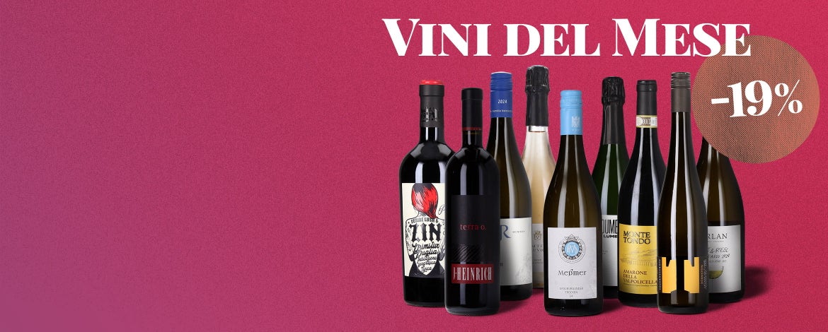 9 vini da gustare a novembre
