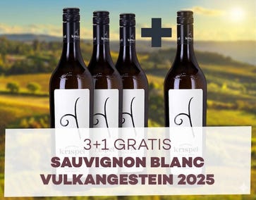 Weingut Krispel - 3+1 Fl. GRATIS