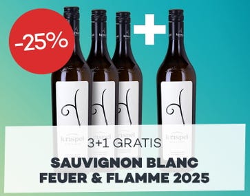 Weingut Krispel - 3+1 Fl. GRATIS