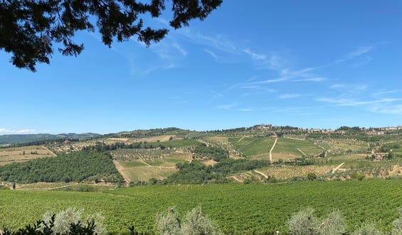 Chianti Wein: Herkunft, Geschmack und die besten Weine aus der Toskana