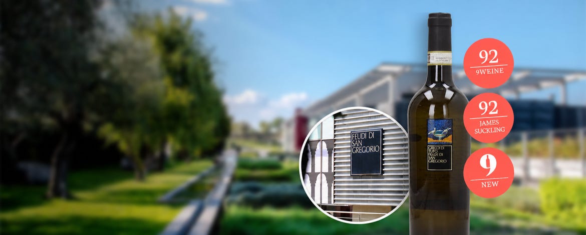 NOVITÀ - Azienda vinicola d'eccellenza FEUDI di San Gregorio