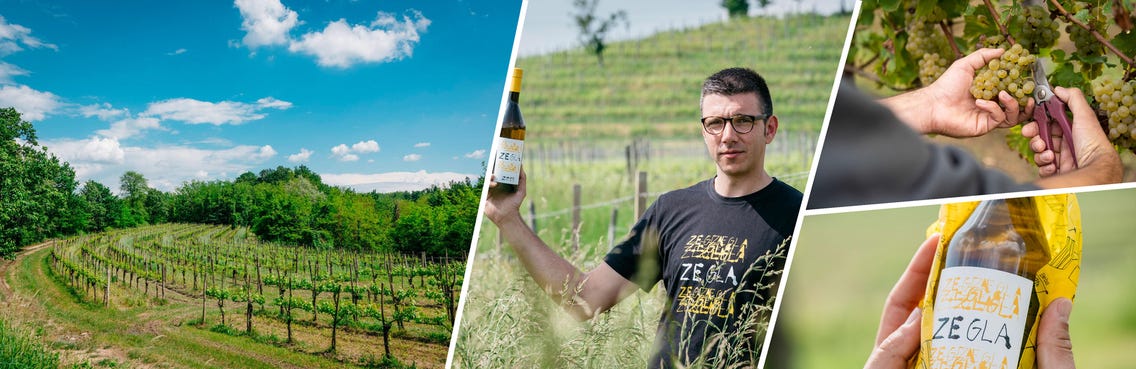 Weingüter / Blazic Collio