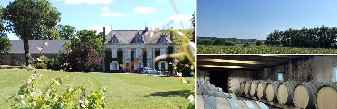 Weingüter / Château de la Roulerie