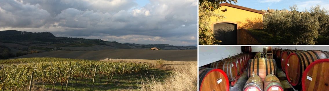 Weingüter / Podere Paradisino