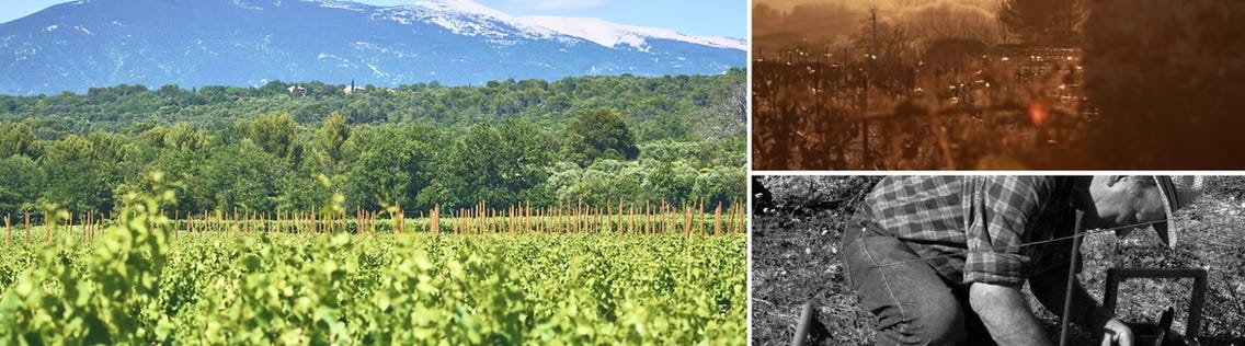 Weingüter / Domaine du Bon Reméde