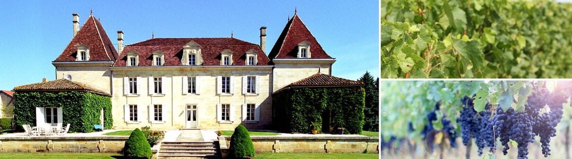 Weingüter / Château de Lavagnac