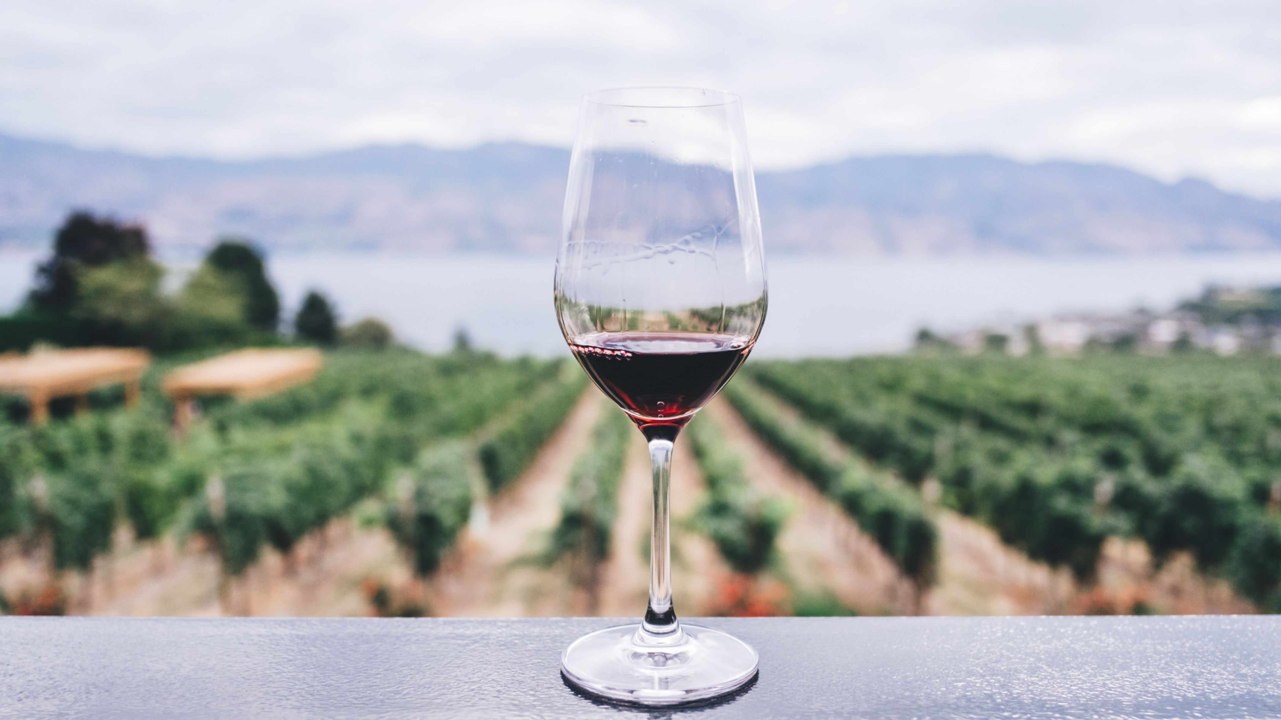 Entdecke die besten Rotweine der Welt - Italien ist für Weinkenner ein Muss!