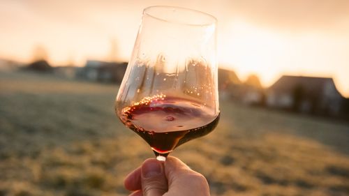 Come capire se un vino è secco, abboccato, amabile o dolce