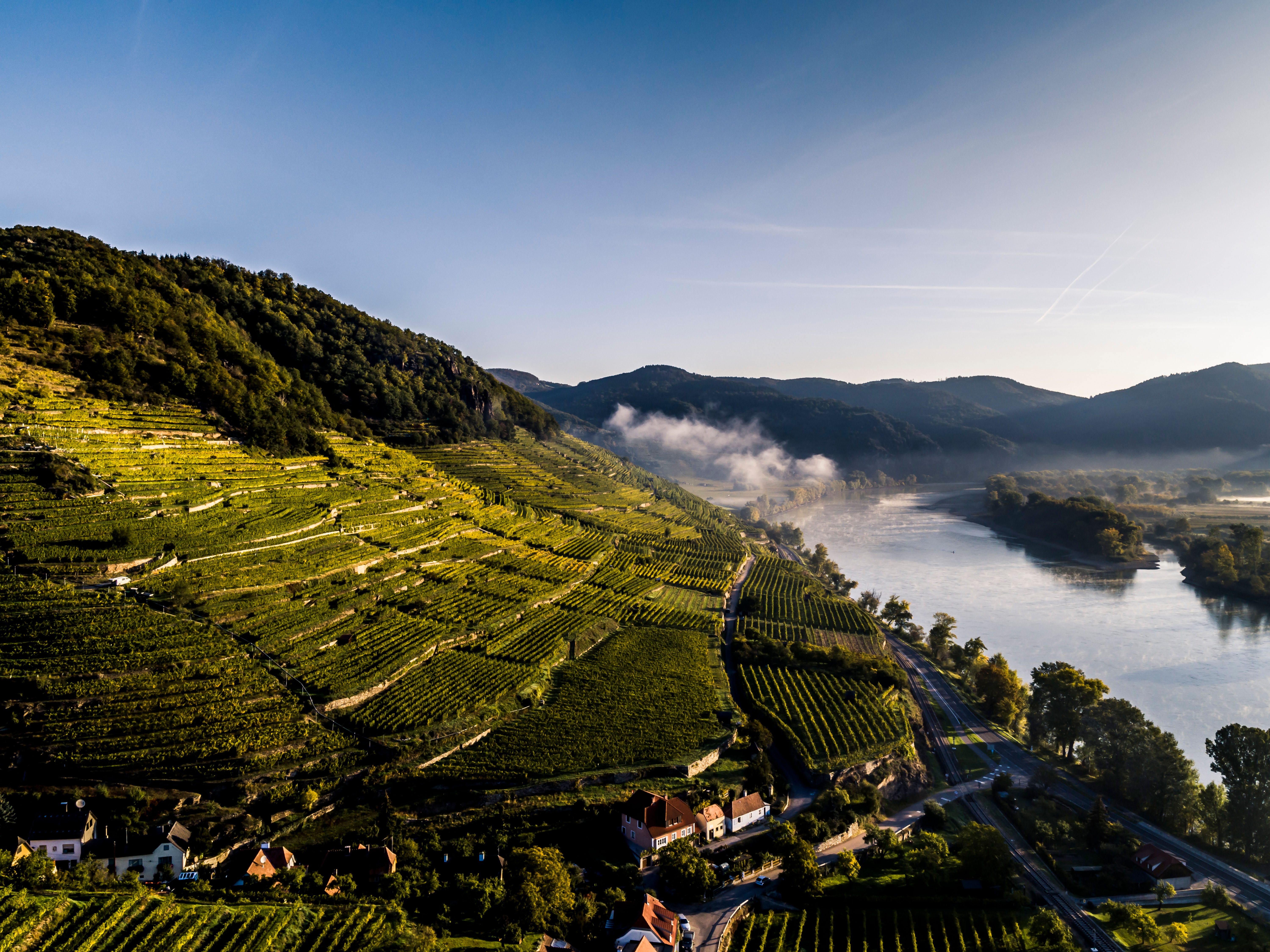 Domäne Wachau Achleiten Herbst