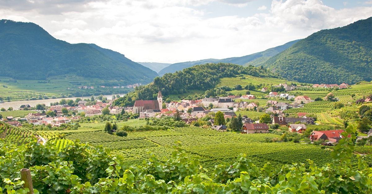 Weinbaugebiete Österreichs - ein Überblick