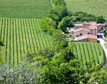 Grandi vini dall'Italia