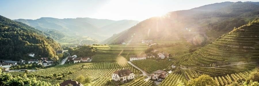 Wein / Länder / Österreich