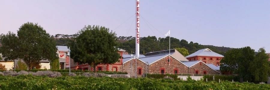 Weingüter / Penfolds