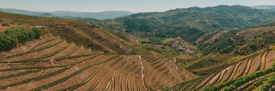 Wein / Länder / Portugal