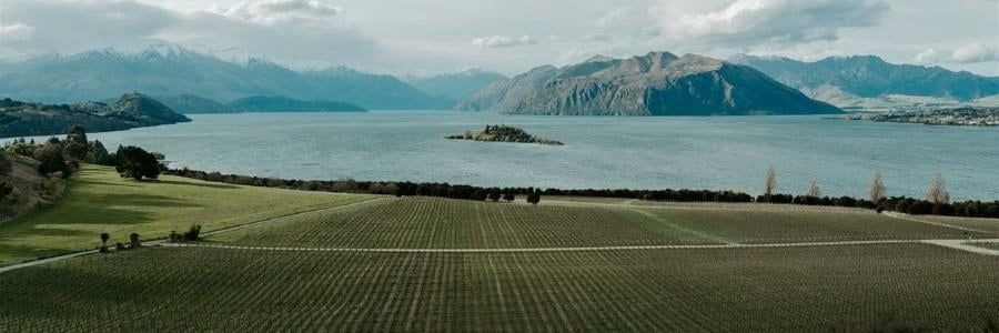 Wein / Länder / Neuseeland