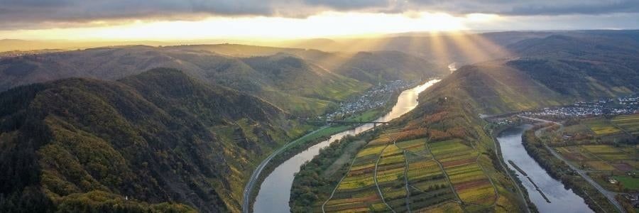 Wein / Länder / Deutschland