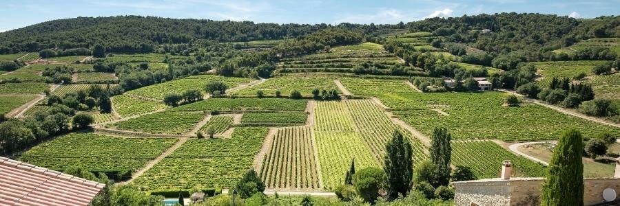 Wein / Länder / Frankreich