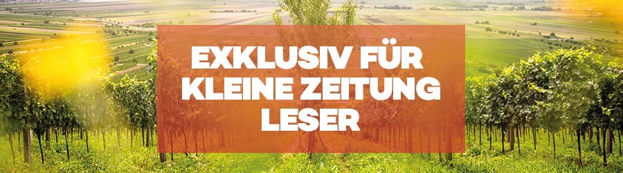kleinezeitung