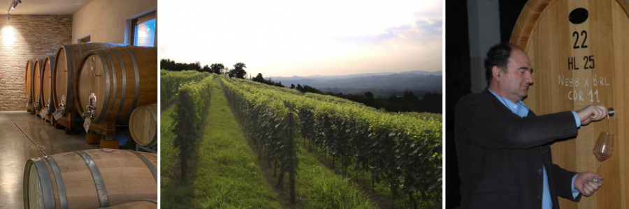 Weingüter / Azienda Agricola Bric Cenciurio