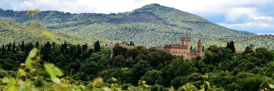 Weingüter / Castello di Bolgheri