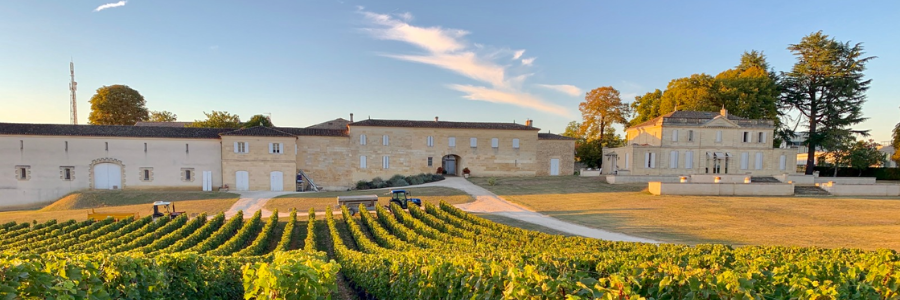 Weingüter / Château Haut-Piquat