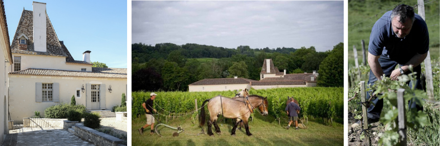 Weingüter / Château Jean Faux