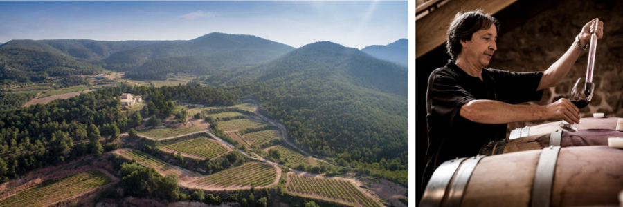 Weingüter / Clos Montblanc