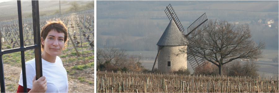 Weingüter / Domaine Roger Belland