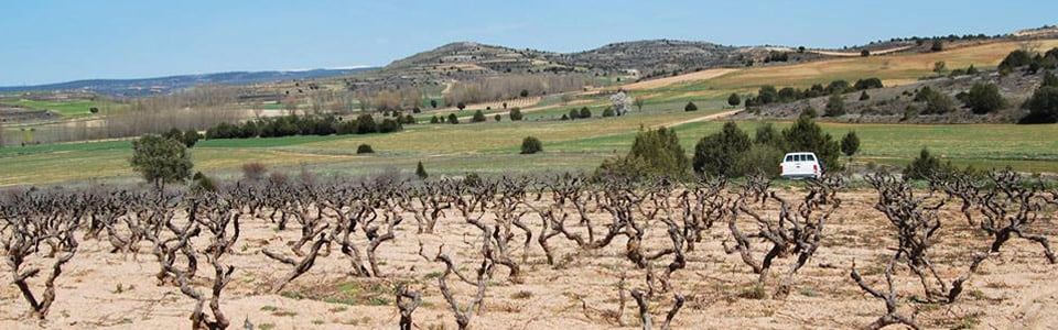 Weingüter / Ermita del Conde