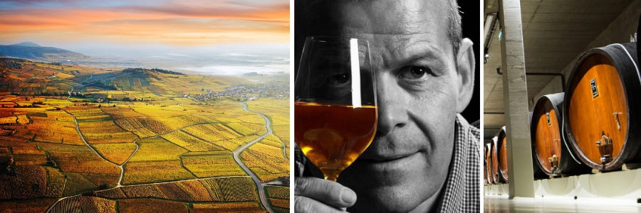 Weingüter / Gustave Lorentz