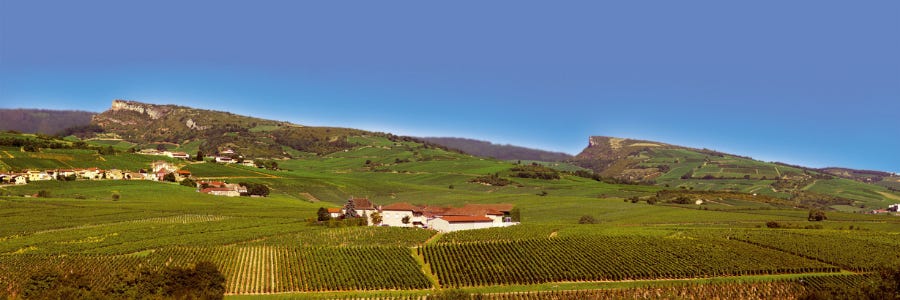 Weingüter / Maison Joseph Burrier