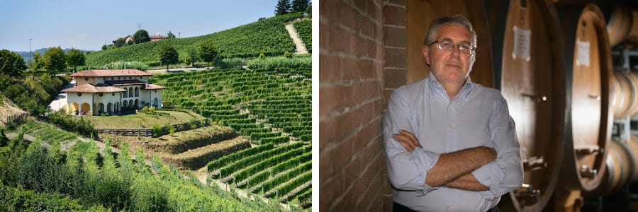 Weingüter / Massimo Rattalino