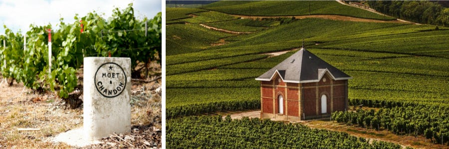 Weingüter / Moët & Chandon