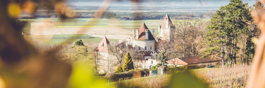 Weingüter / Schloss Eichbüchl