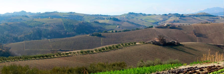 Weingüter / Società Agricola Ciù Ciù