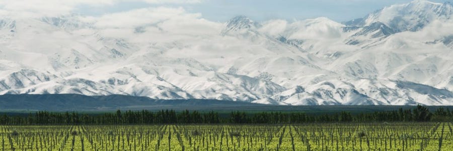 Weingüter / Terrazas de los Andes