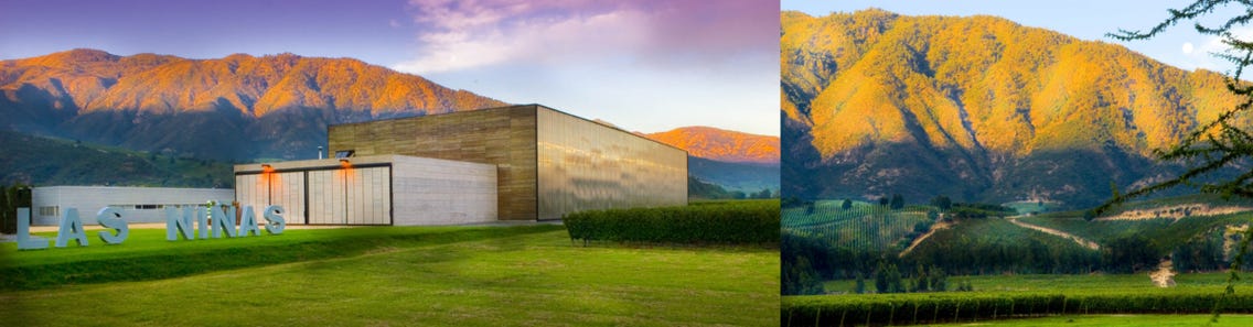 Weingüter / Vina las Niñas