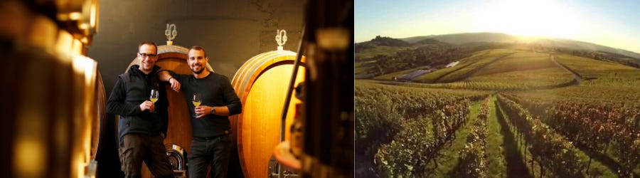 Weingüter / Weingut Aldinger