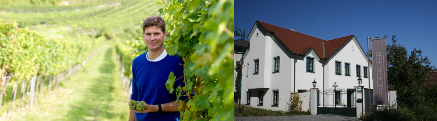 Weingüter / Weingut Ecker - Eckhof