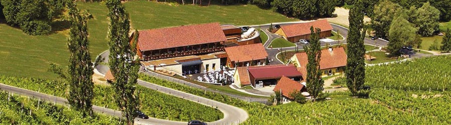Weingüter / Weingut Georgiberg