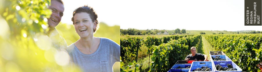 Weingüter / Weingut Günter u. Regina Triebaumer