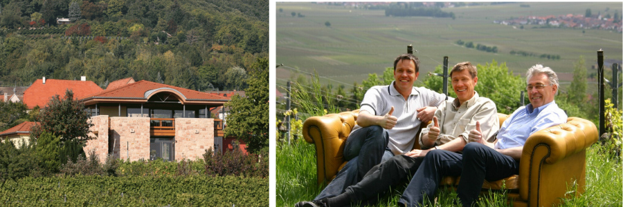 Weingüter / Weingut Herbert Meßmer